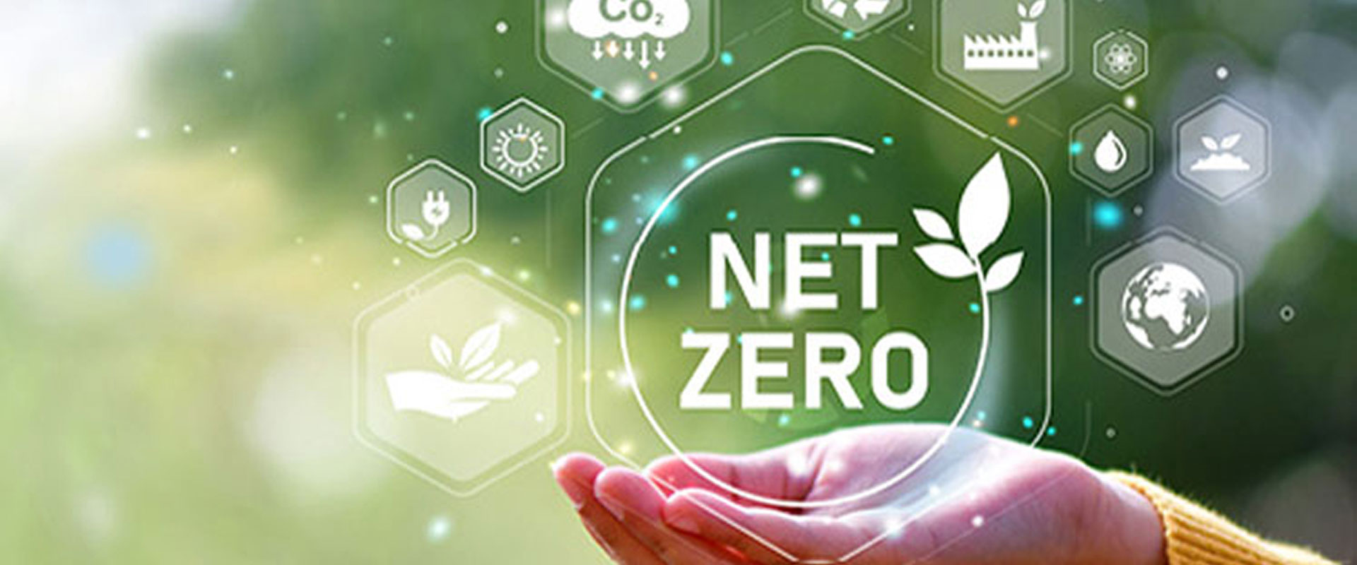Net Zero Certification