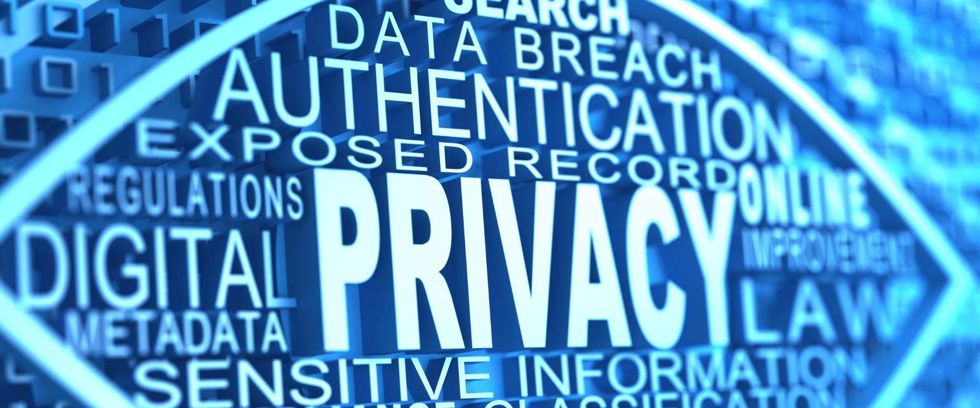 Privacy Information Management