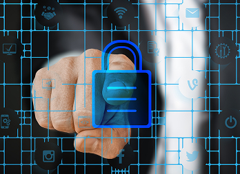 Security Assessment