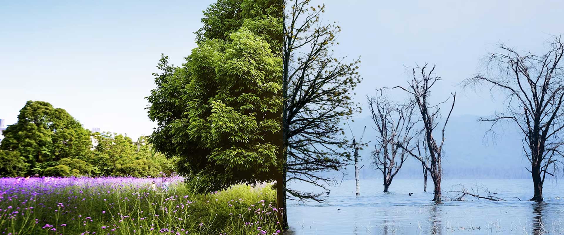 EIA Studies – Environmental Impact Assessment