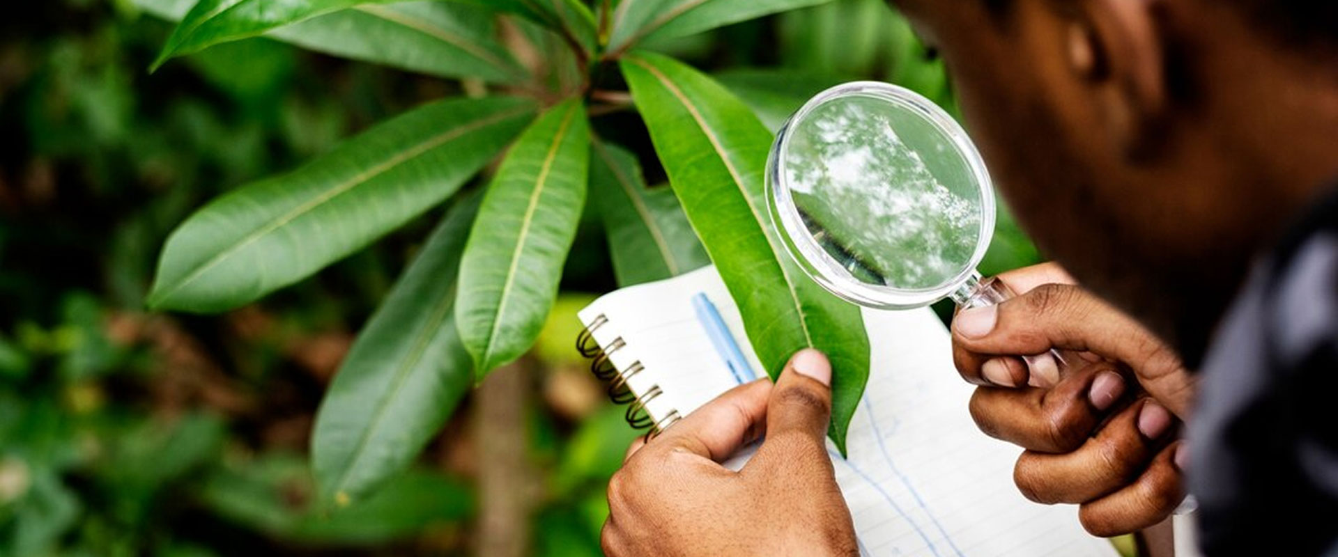 Environmental Management